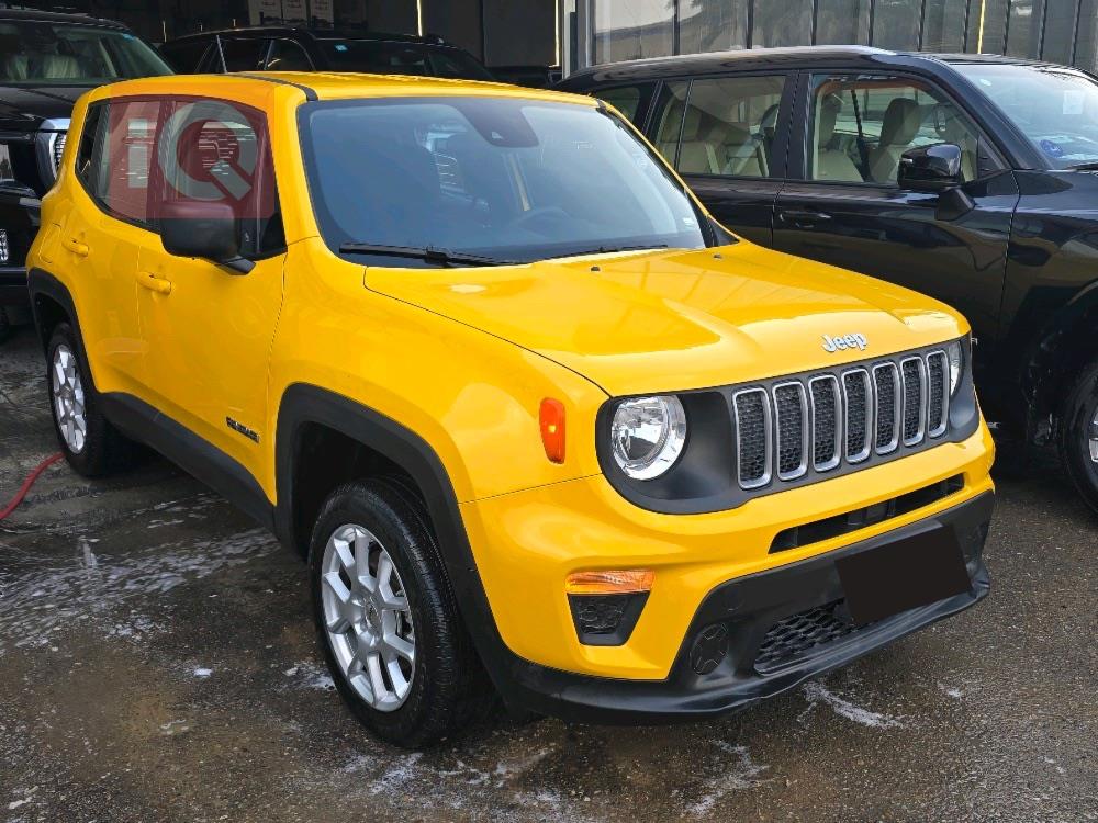 جيب رينيجيد